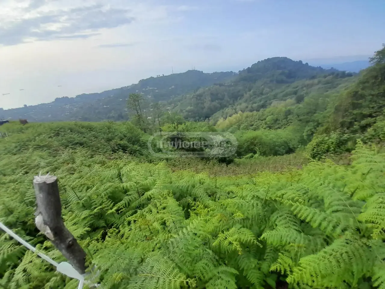 Agricultural Plot For Sale In Makhinjauri, In Batumi view 10