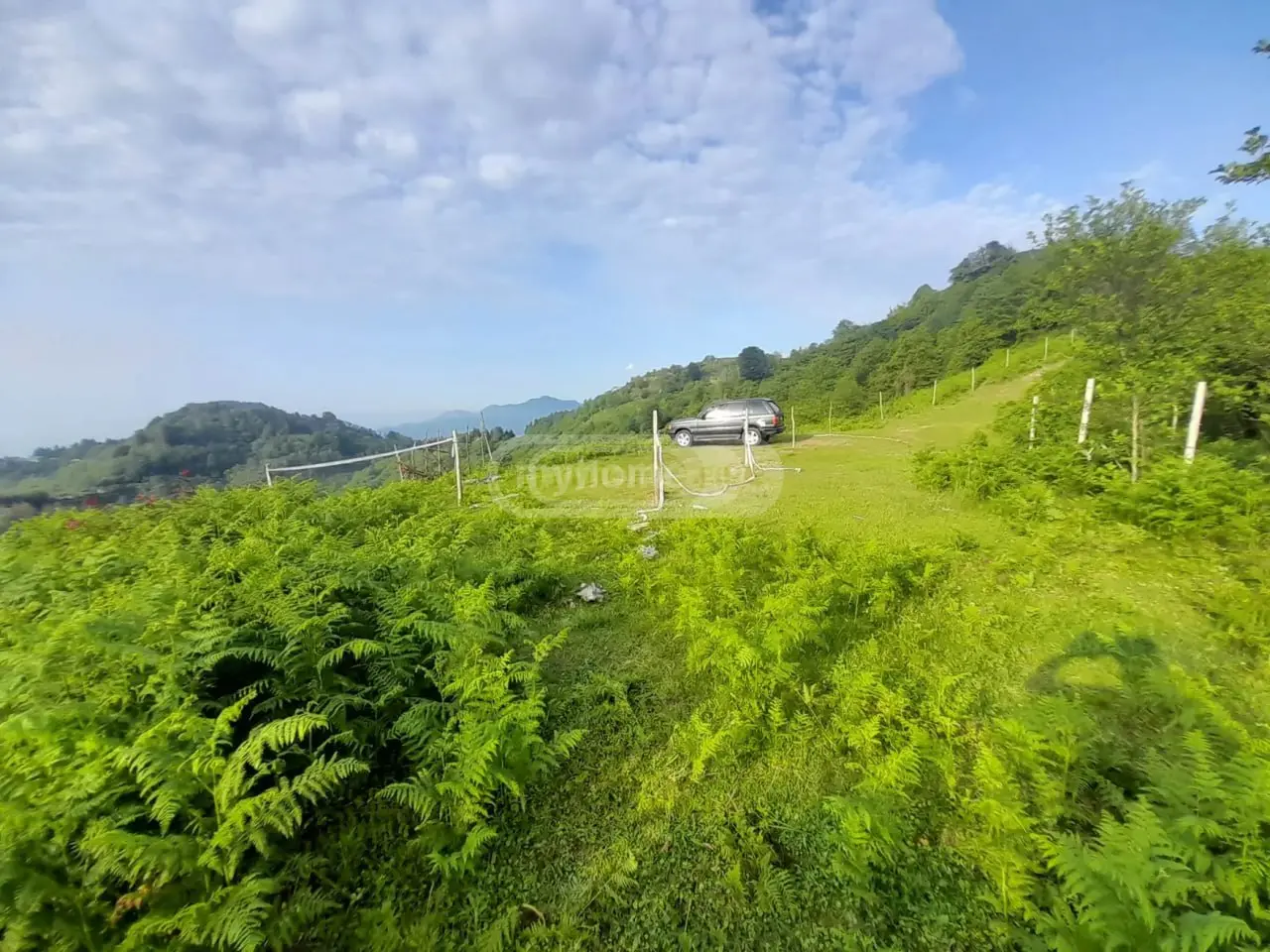 Agricultural Plot For Sale In Makhinjauri, In Batumi view 7