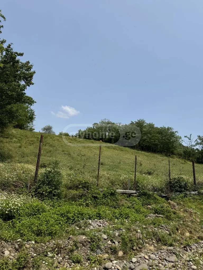 Agricultural Plot For Sale In Tskaltubo view 6