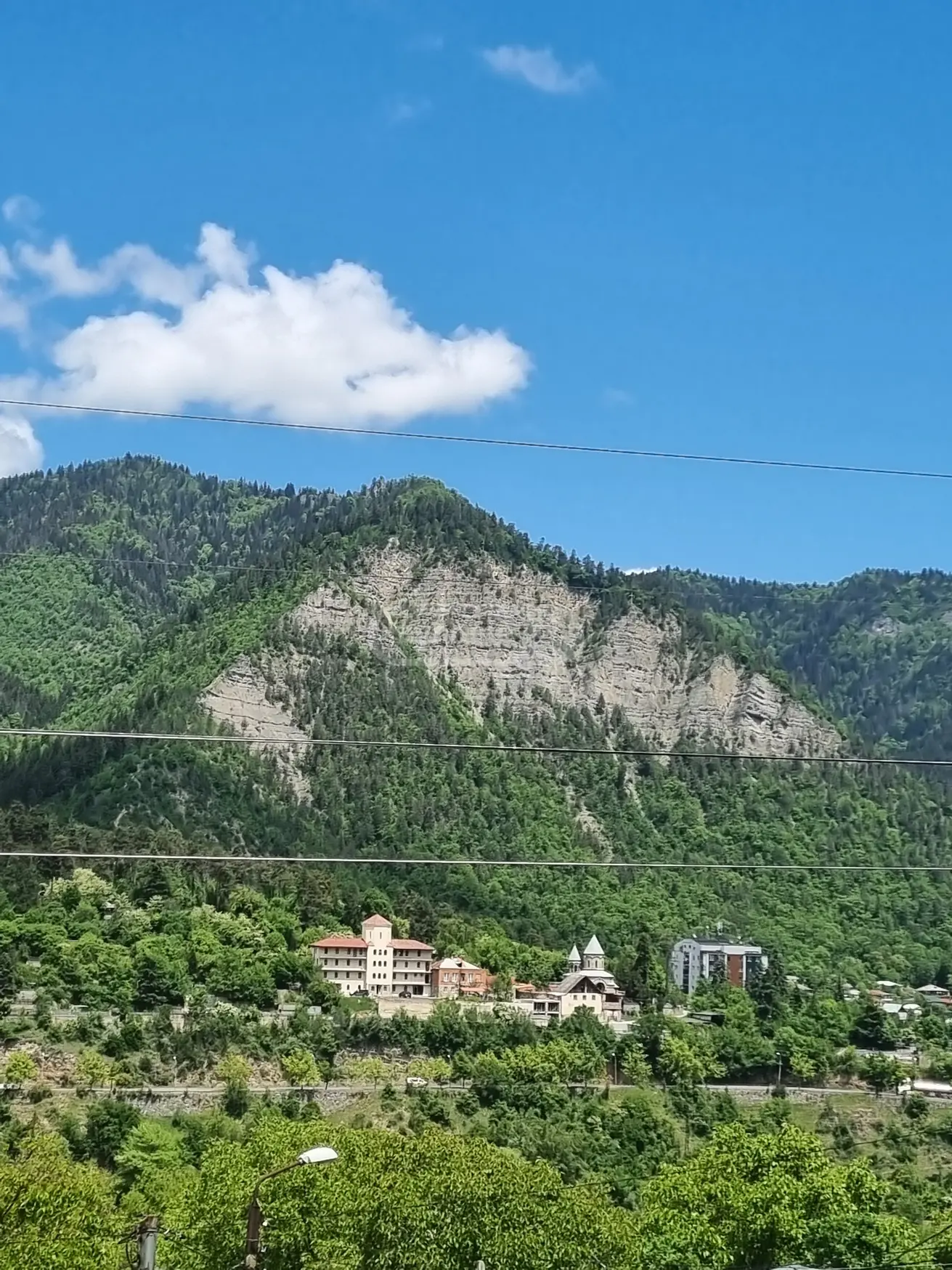 2 Room Private House Daily Rent In Borjomi view 6