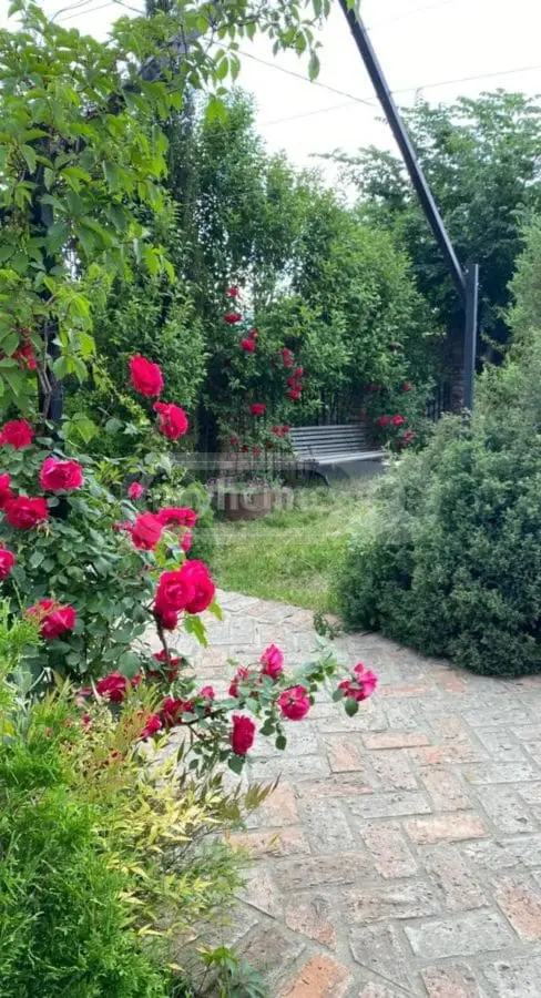3 Room Country House Daily Rent In Mtskheta view 12