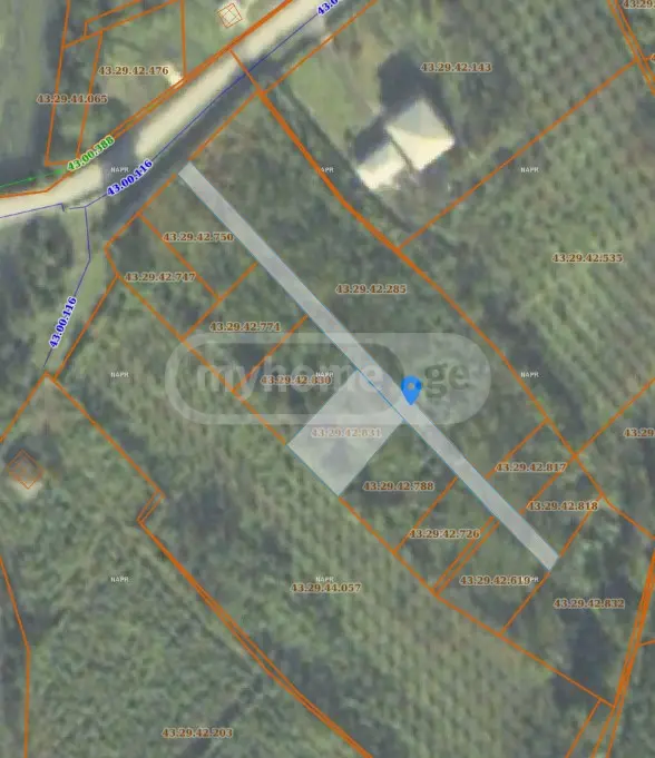 Agricultural Plot For Sale In Zugdidi Municipality view 6