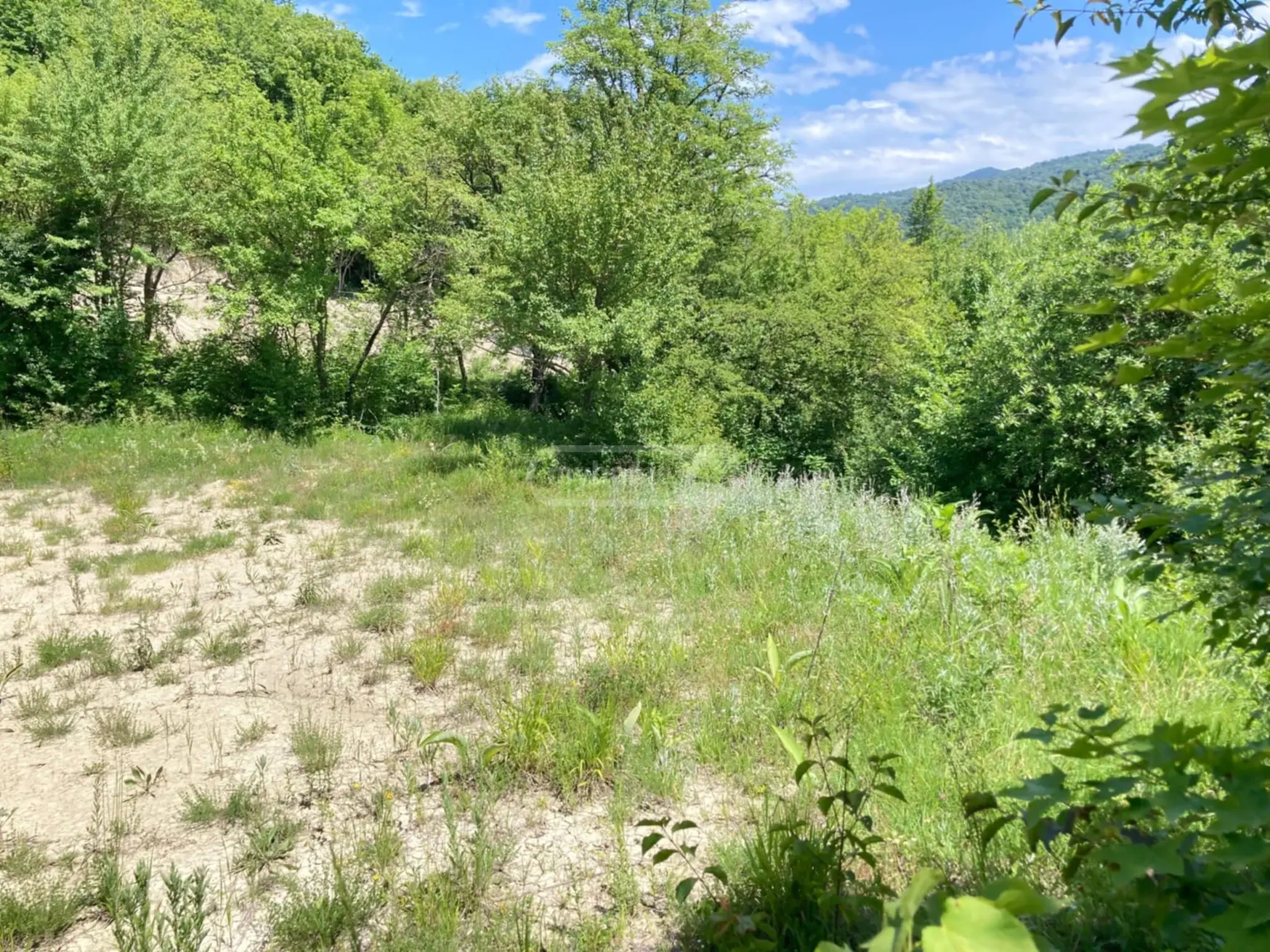 იყიდება Agricultural Plot In Mtskheta Municipalityში view 8