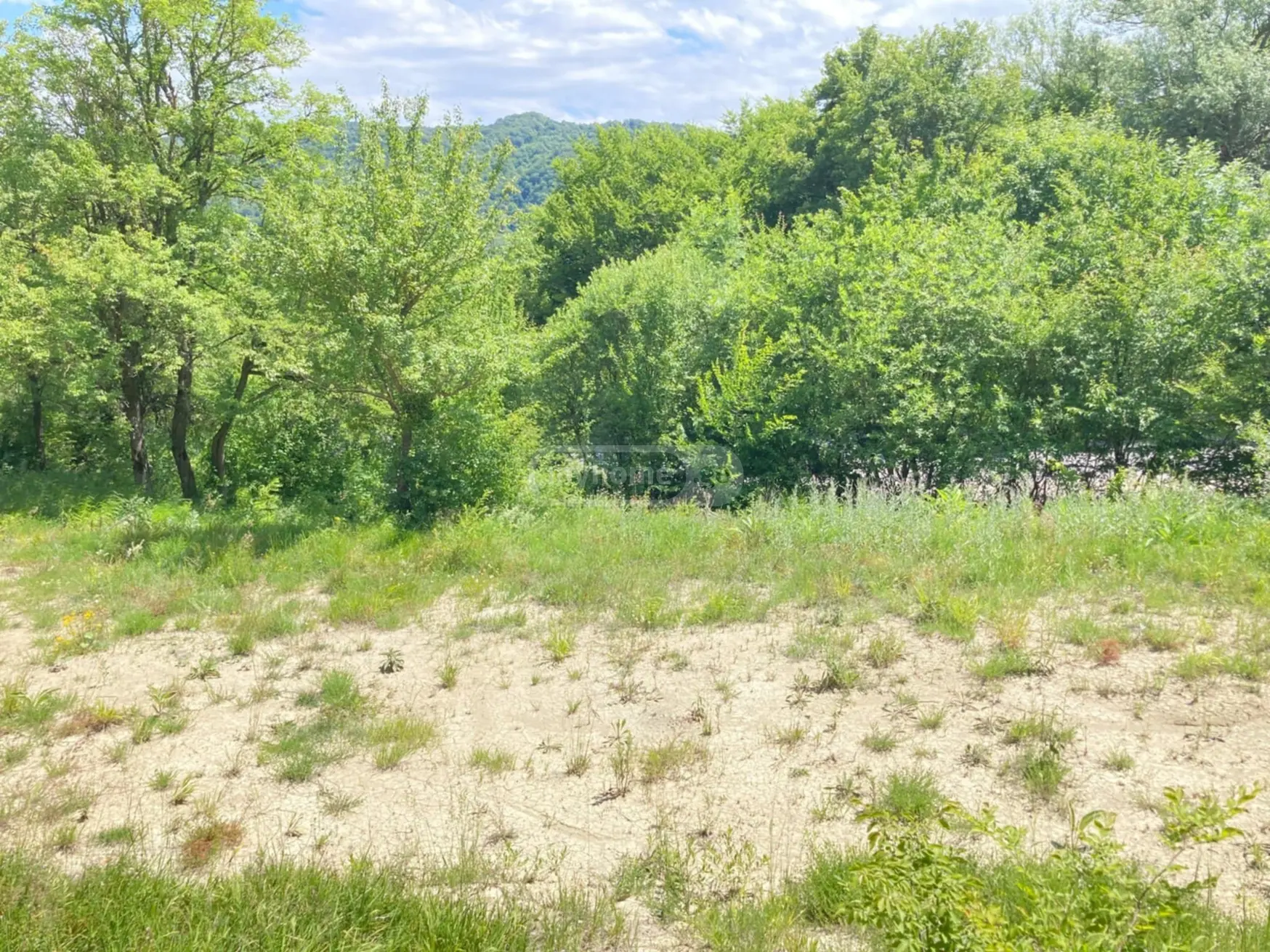 იყიდება Agricultural Plot In Mtskheta Municipalityში view 9