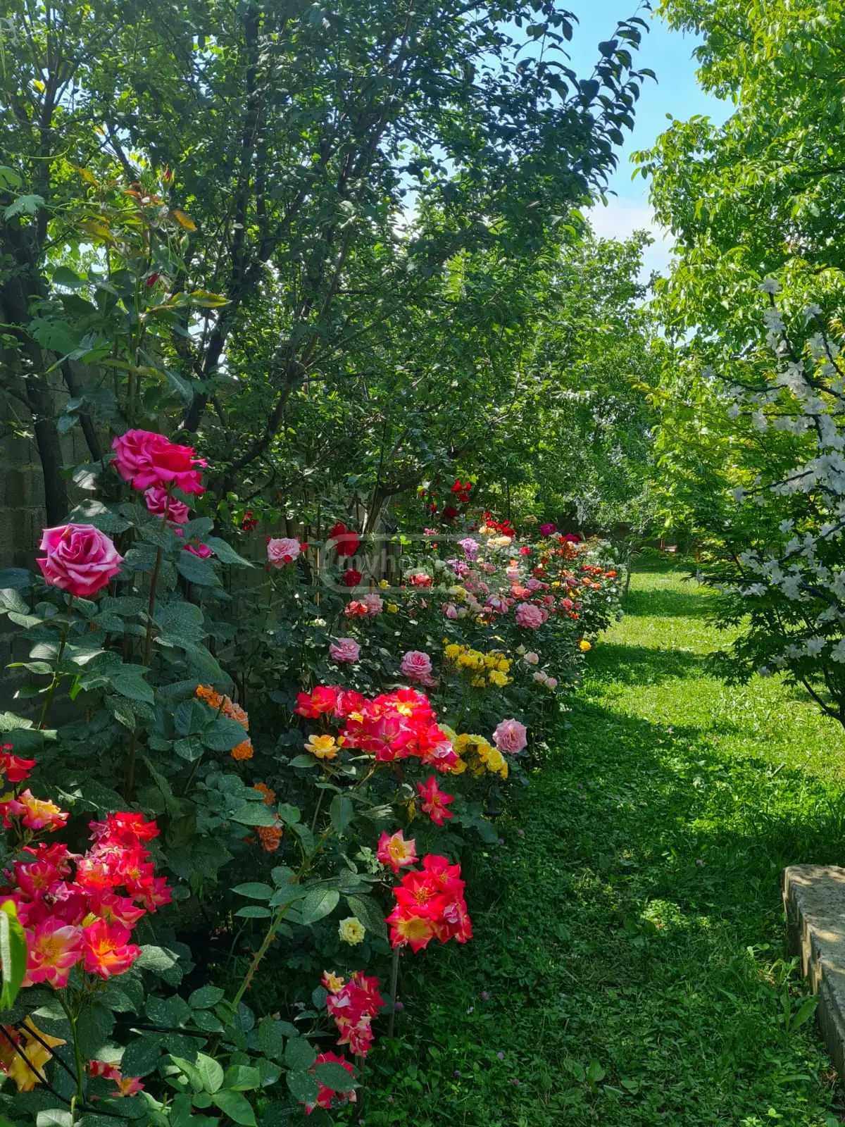 4 Room Country House Daily Rent In Mtskheta view 12