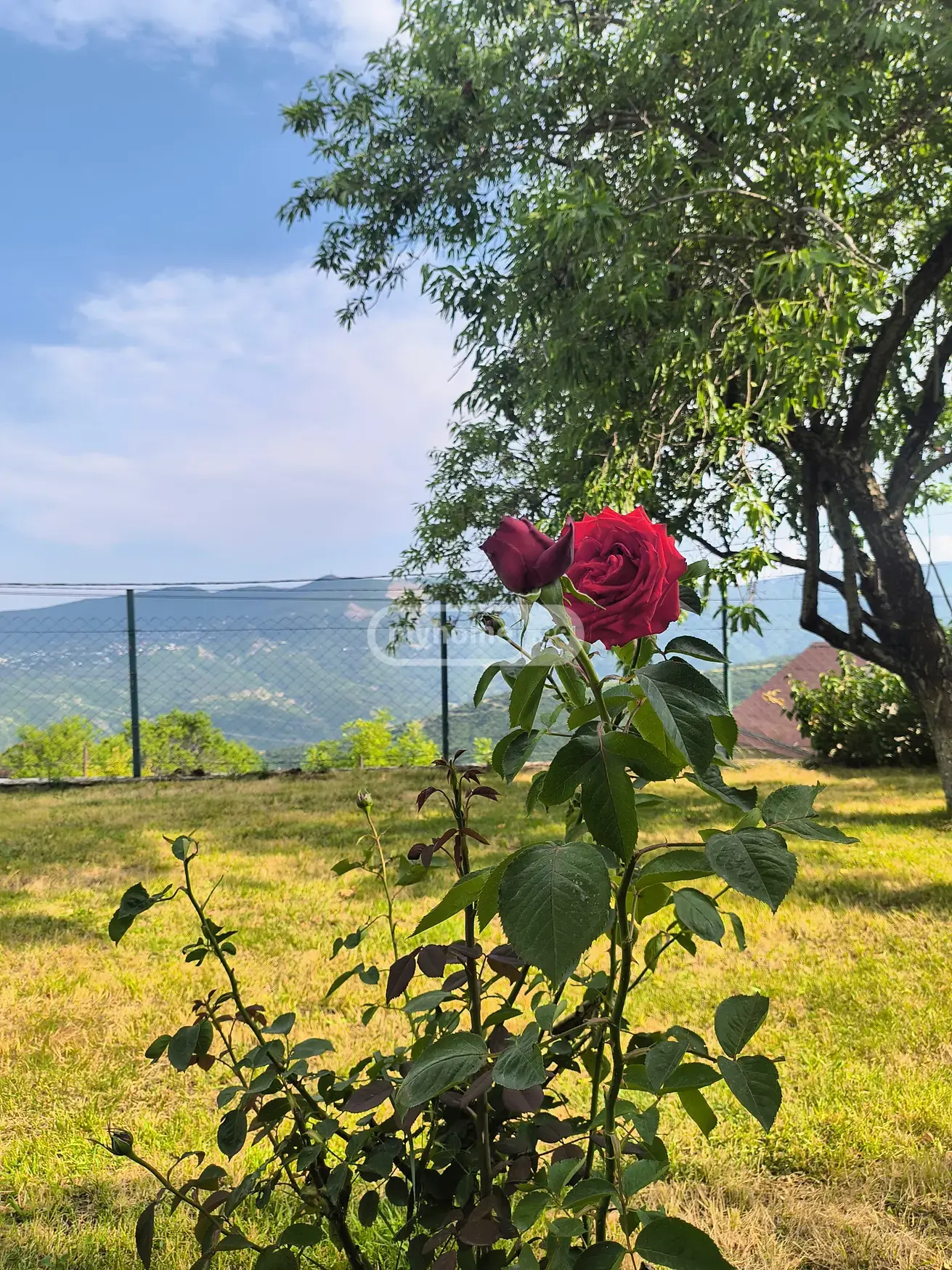 7 Room Country House For Rent In Vake view 6