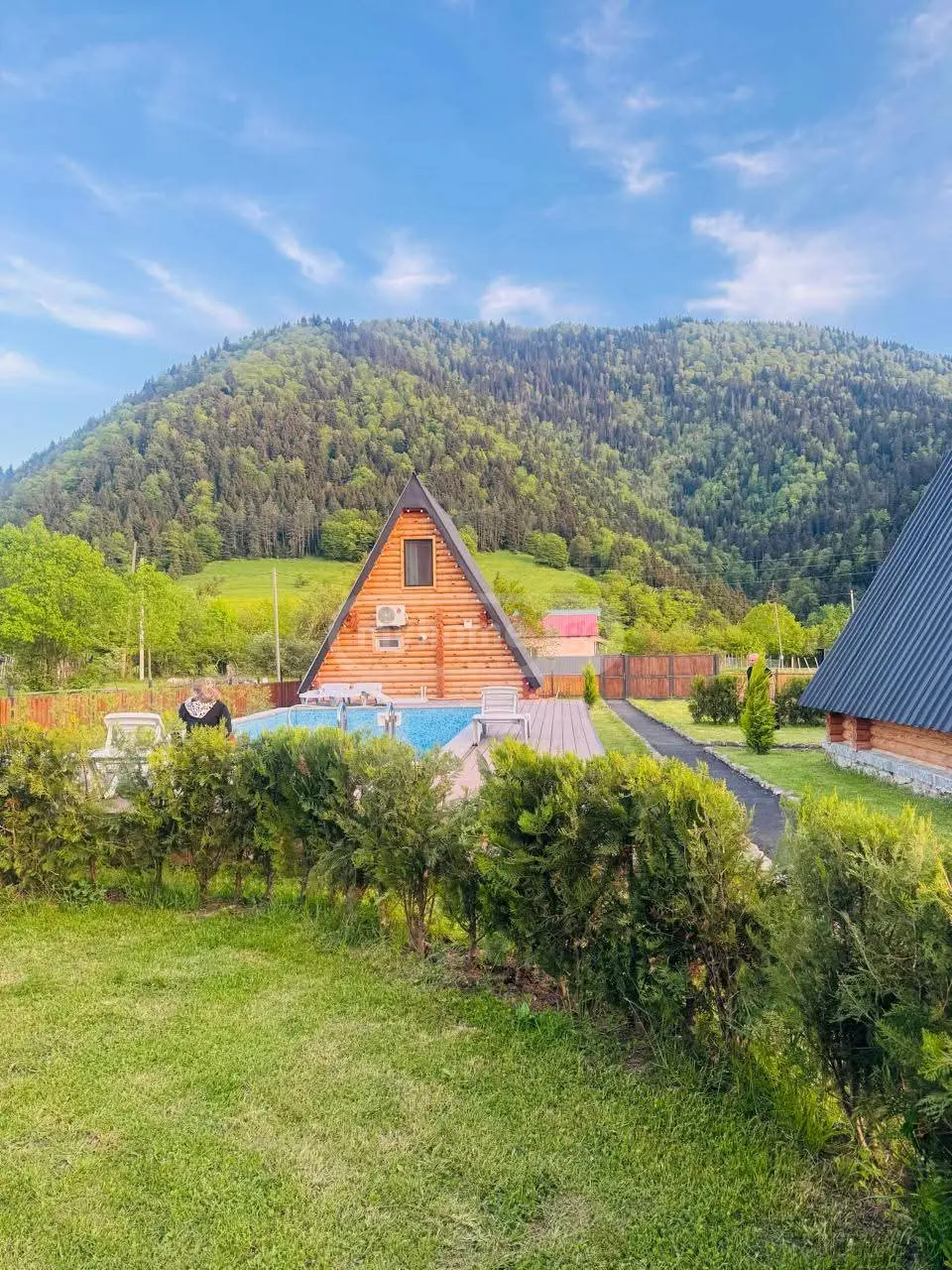 2 Room Country House Daily Rent In Borjomi view 8