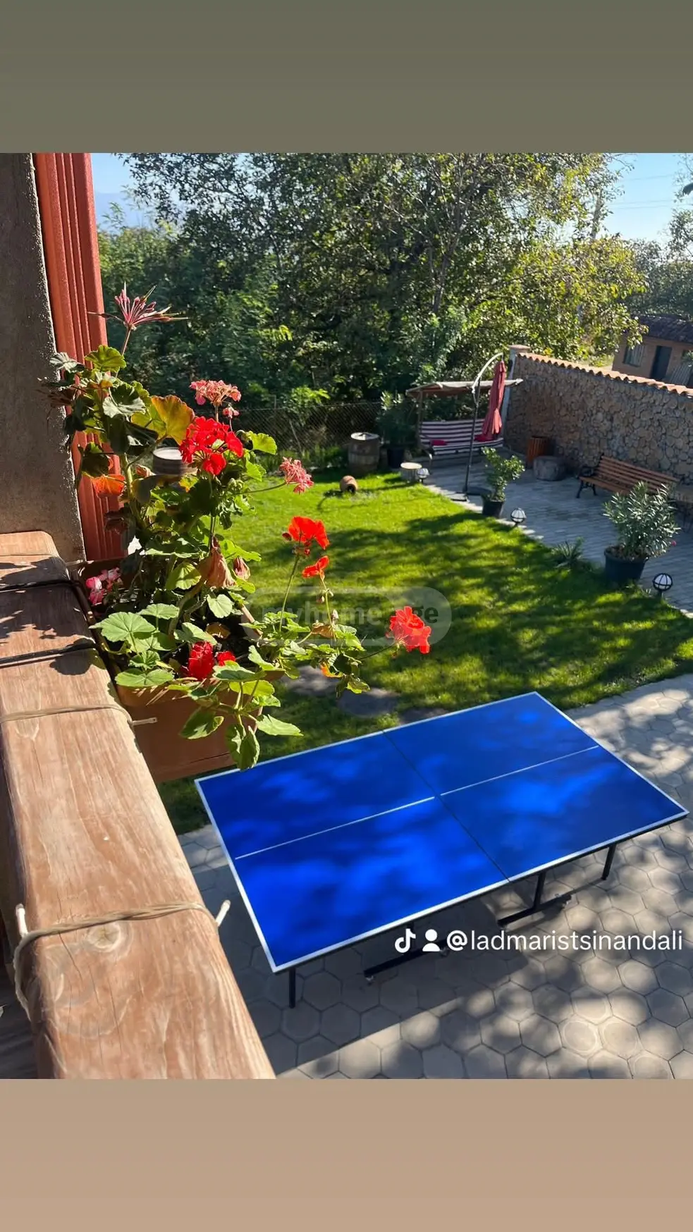 6 Room Country House Daily Rent In Tsinandali, In Telavi Municipality view 4