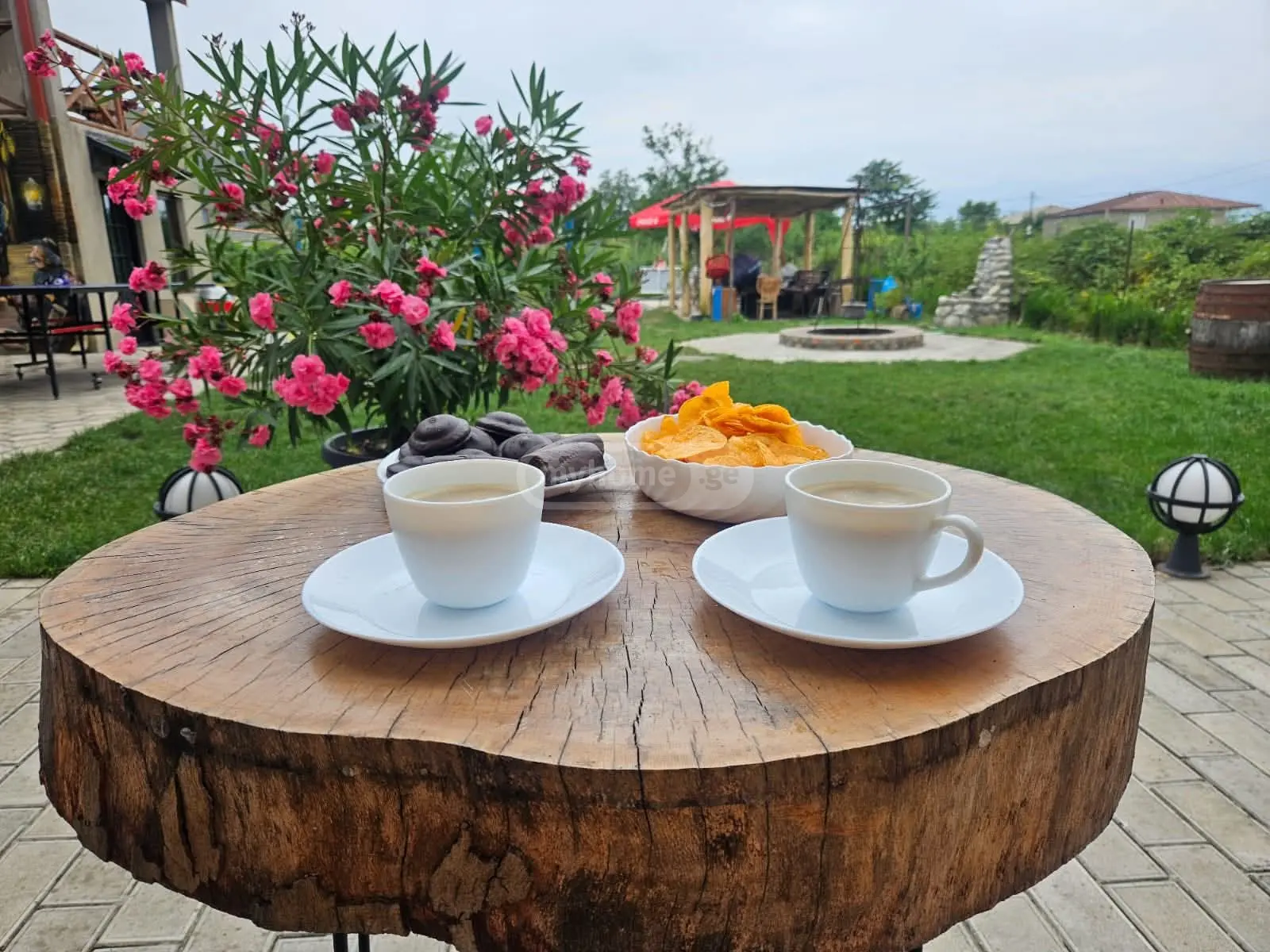 6 Room Country House Daily Rent In Tsinandali, In Telavi Municipality view 1