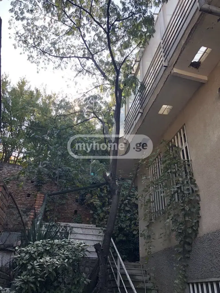 7 Room Private House For Rent In Vera view 9