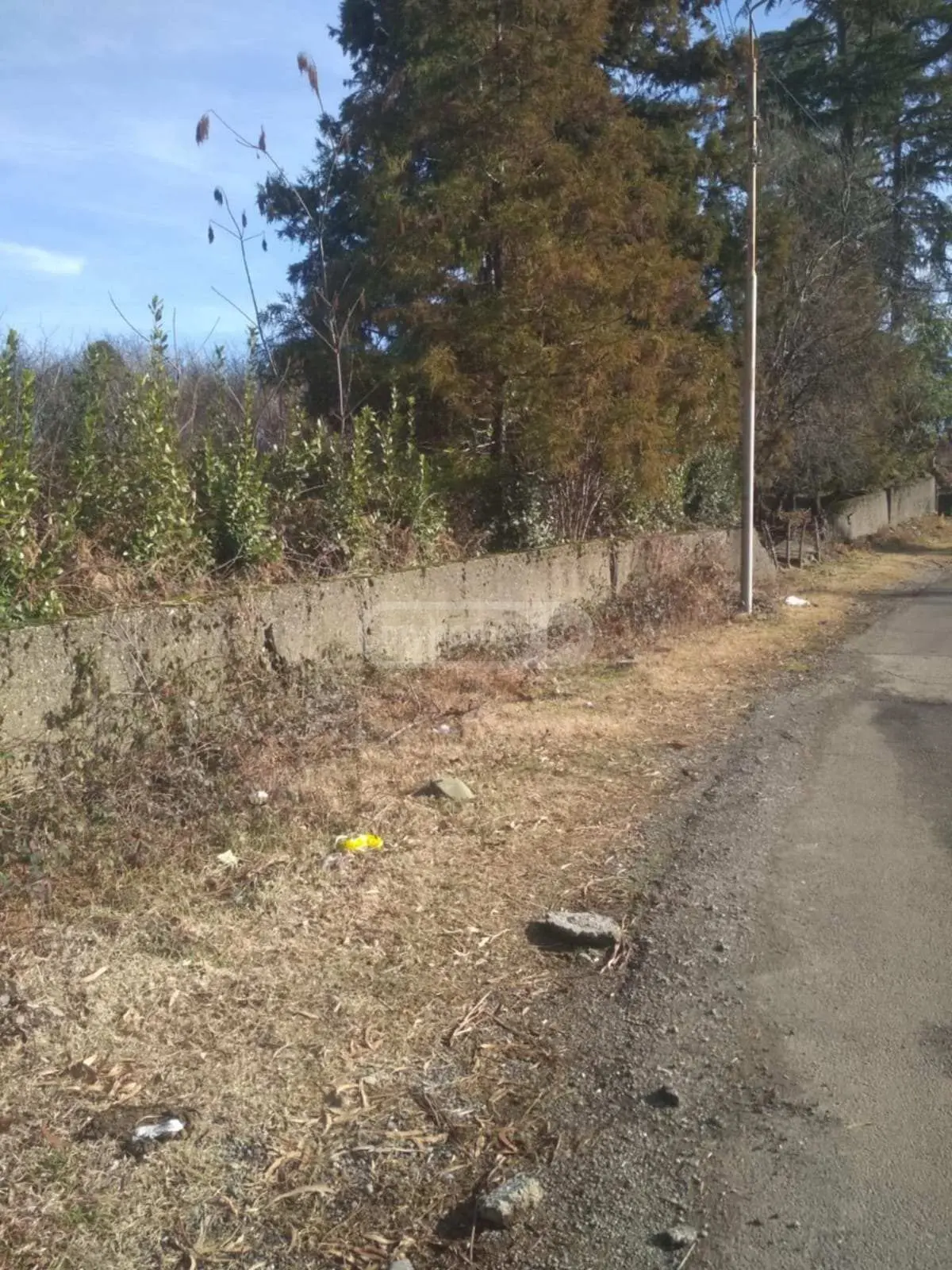 Agricultural Plot For Sale In Khutsubani, In Kobuleti Municipality view 2