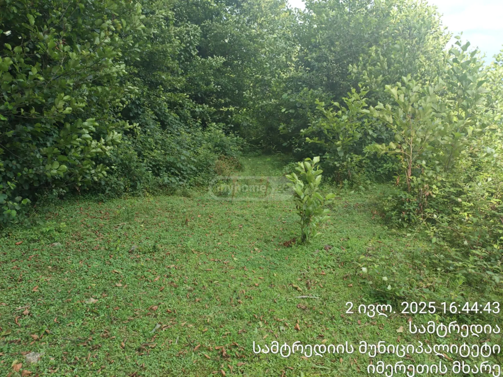 Agricultural Plot For Sale In Samtredia view 3
