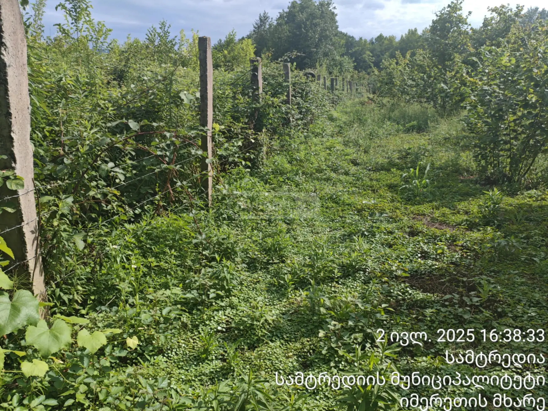 Agricultural Plot For Sale In Samtredia view 2