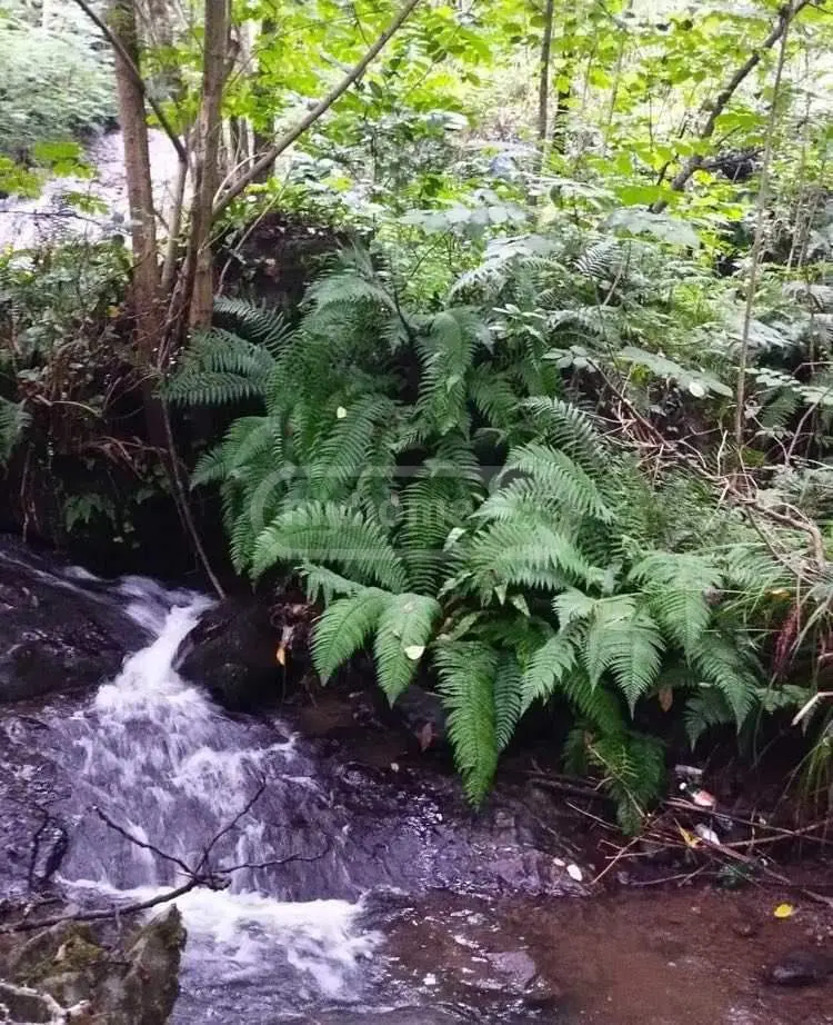 3 Room Private House For Sale view 6