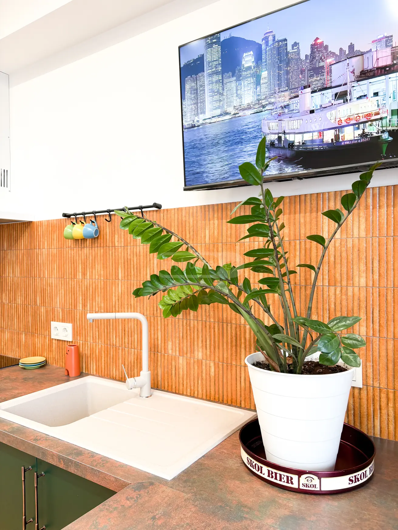1 Room Apartment Daily Rent In Digomi view 14