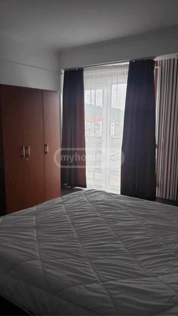 3 Room Apartment For Rent In Bakuriani view 4