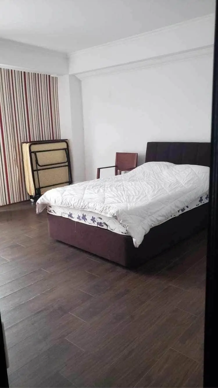 3 Room Apartment For Rent In Bakuriani view 3