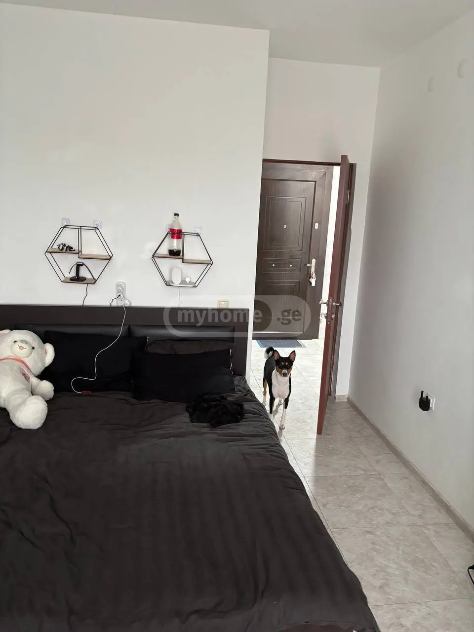 2 Room Apartment For Rent In Isani view 3
