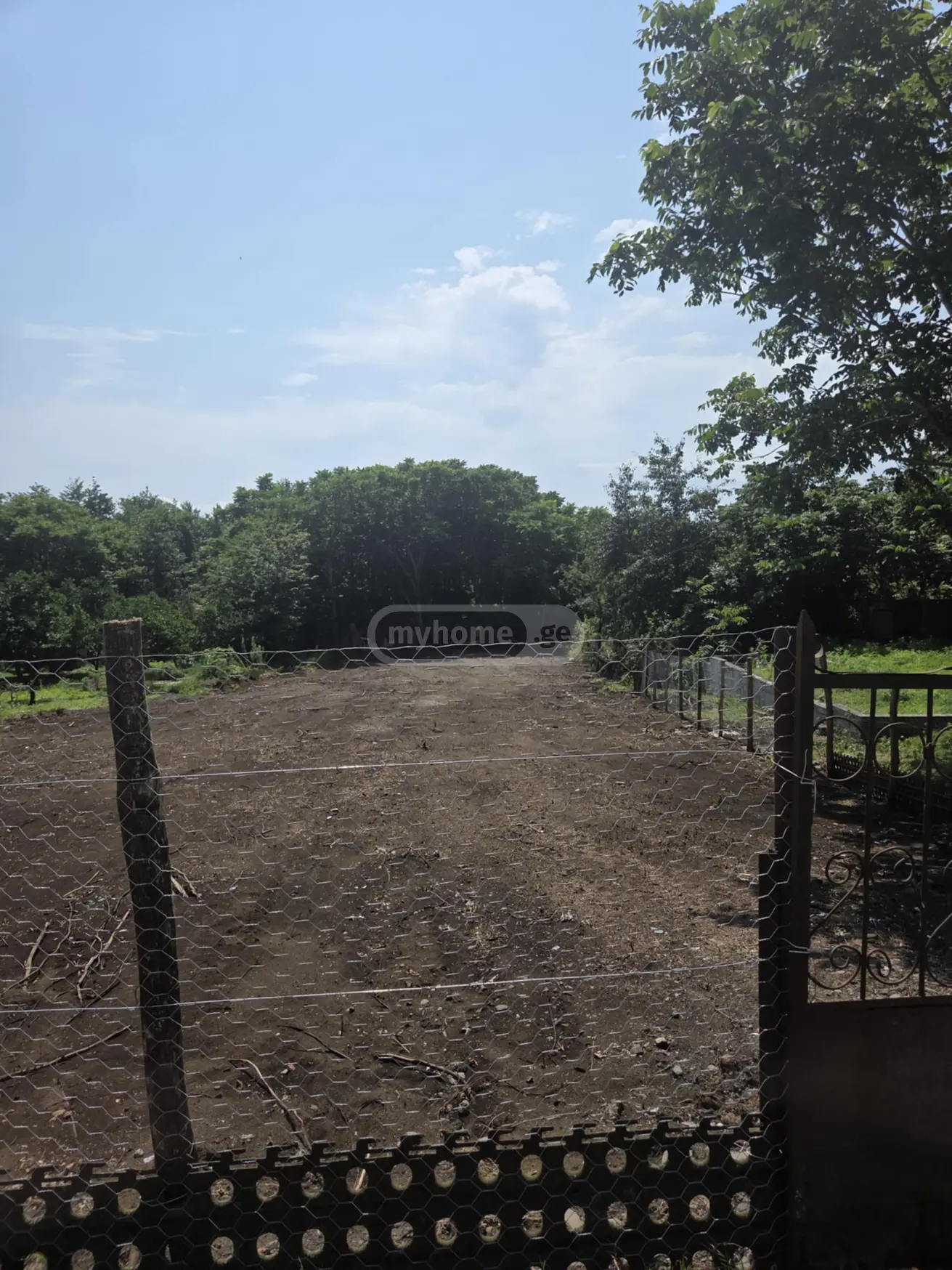 იყიდება Agricultural Plot In Grigoleti, In Lanchkhuti Municipalityში view 3