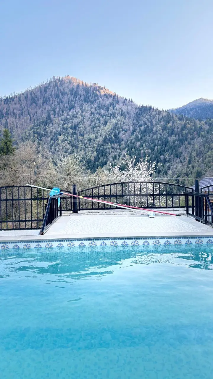 3 Room Country House Daily Rent In Borjomi view 3