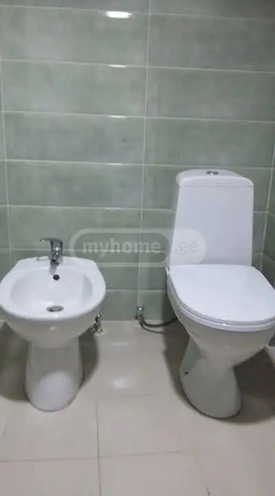 3 Room Country House Daily Rent In Borjomi view 5