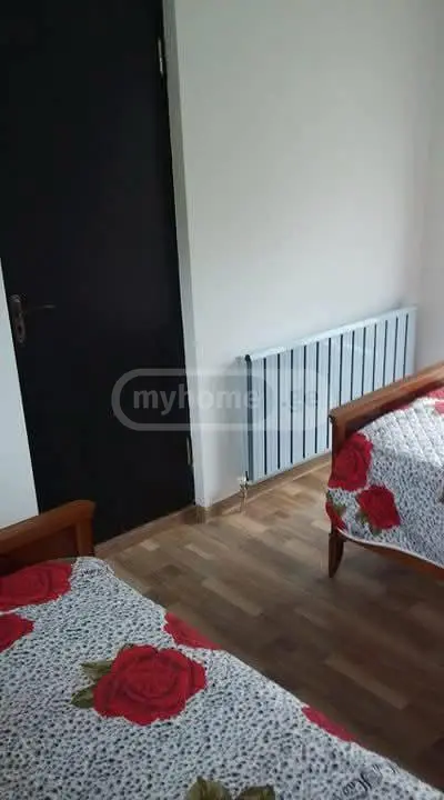3 Room Country House Daily Rent In Borjomi view 6