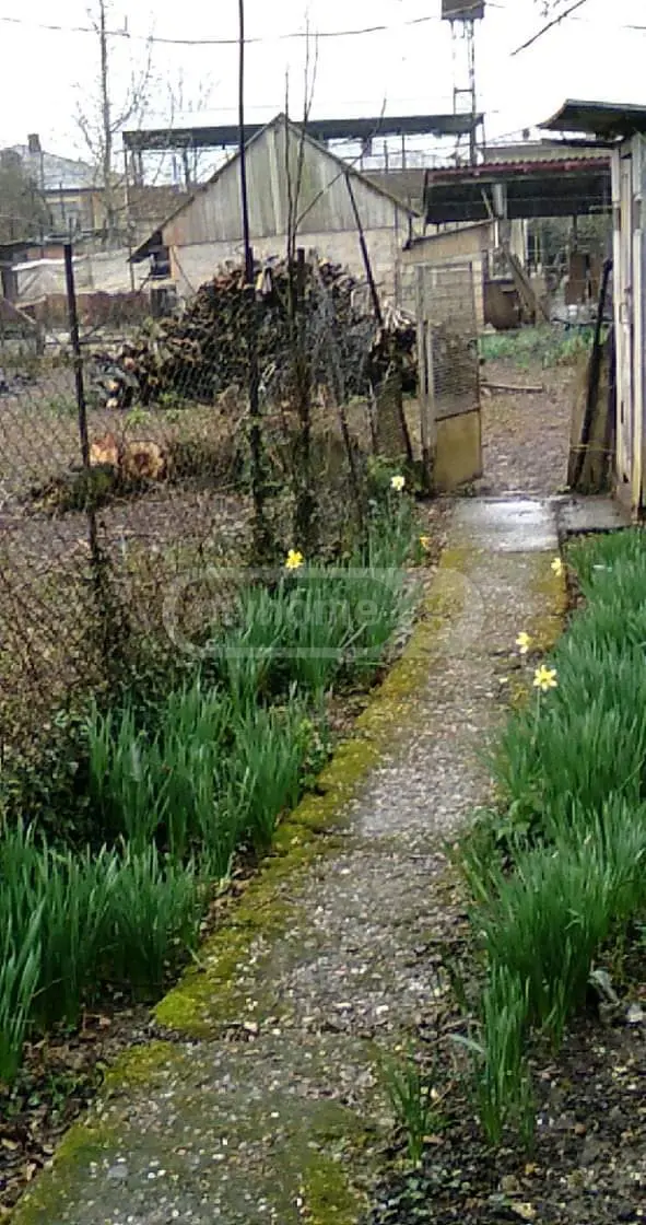 Special Commercial Area For Sale In Zugdidi view 9