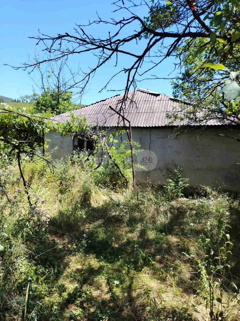 იყიდება Non-Agricultural Plot In Mchadijvari, In Dushetiში view 5