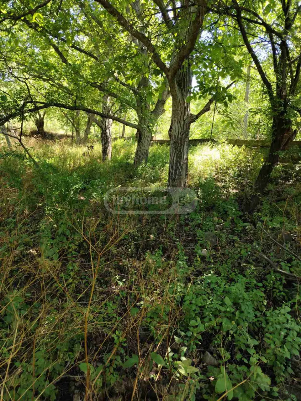 იყიდება Non-Agricultural Plot In Mchadijvari, In Dushetiში view 4