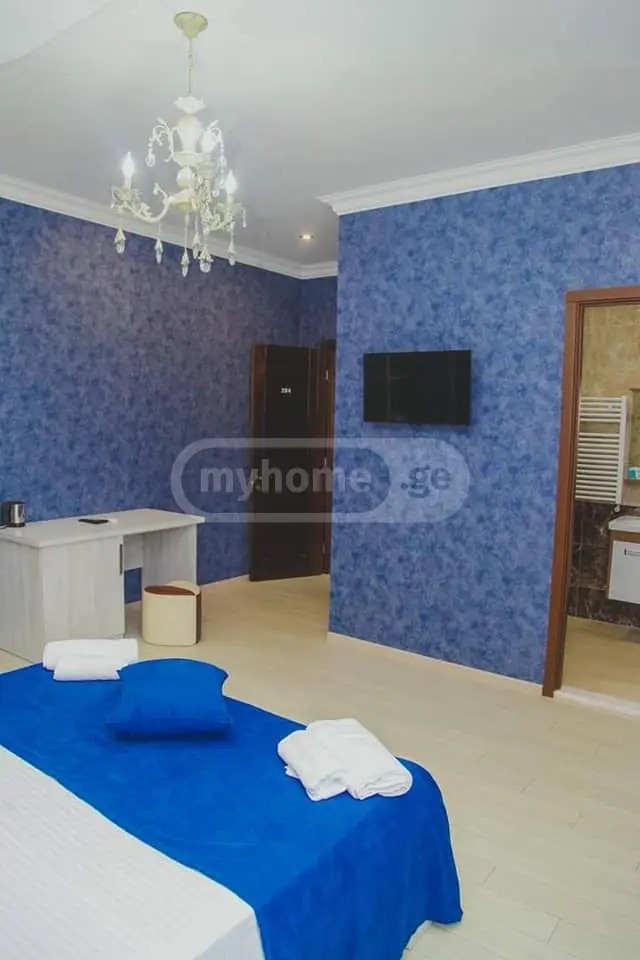 10+ Room Hotel For Sale In Zugdidi view 5