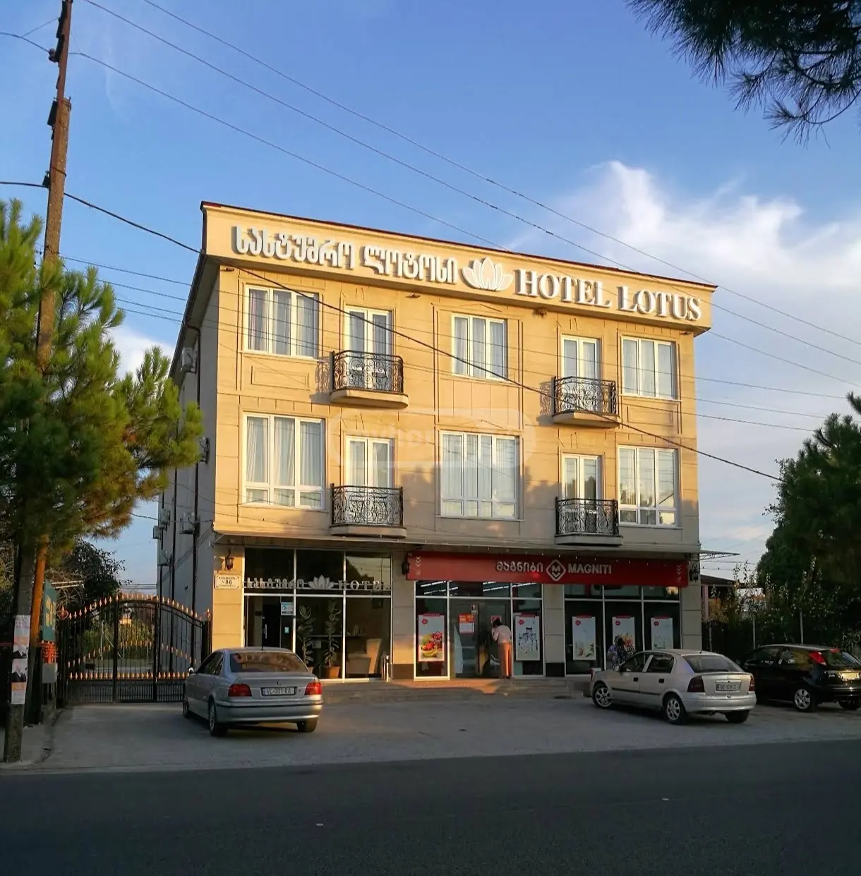 10+ Room Hotel For Sale In Zugdidi view 1