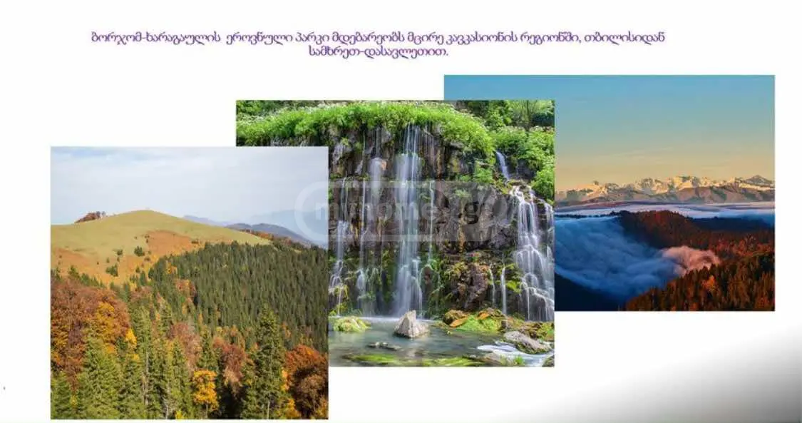 Non-Agricultural Plot For Sale In Likani, In Borjomi Municipality view 4