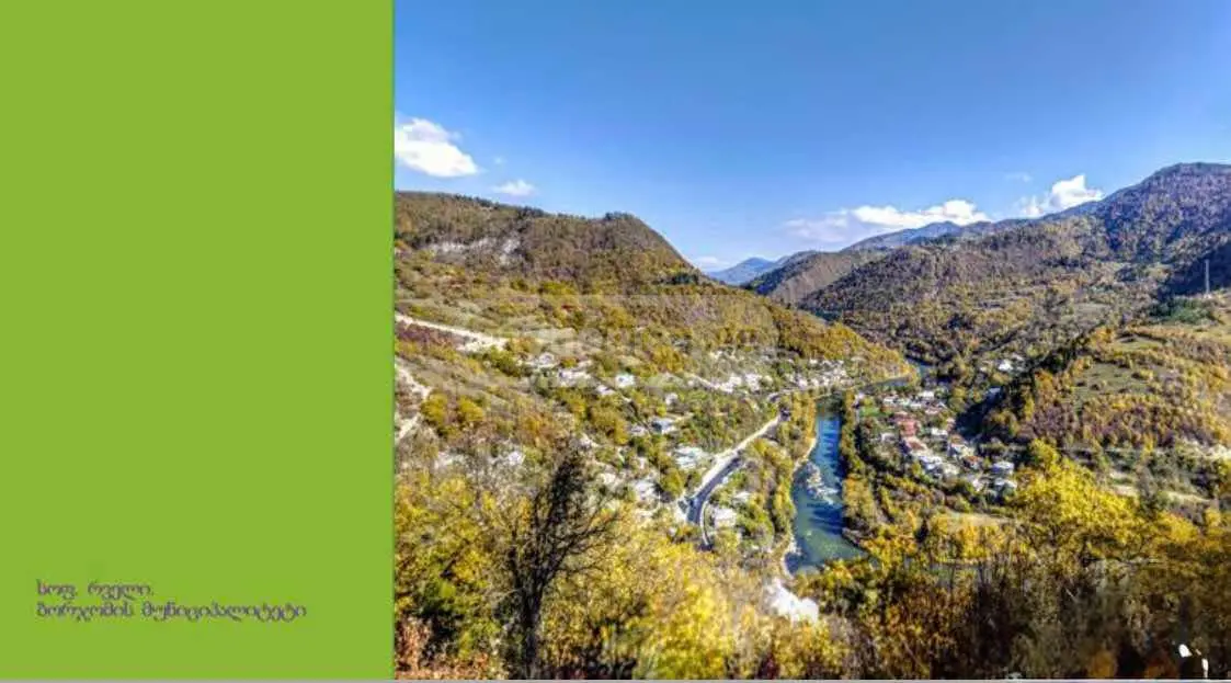 Non-Agricultural Plot For Sale In Likani, In Borjomi Municipality view 7