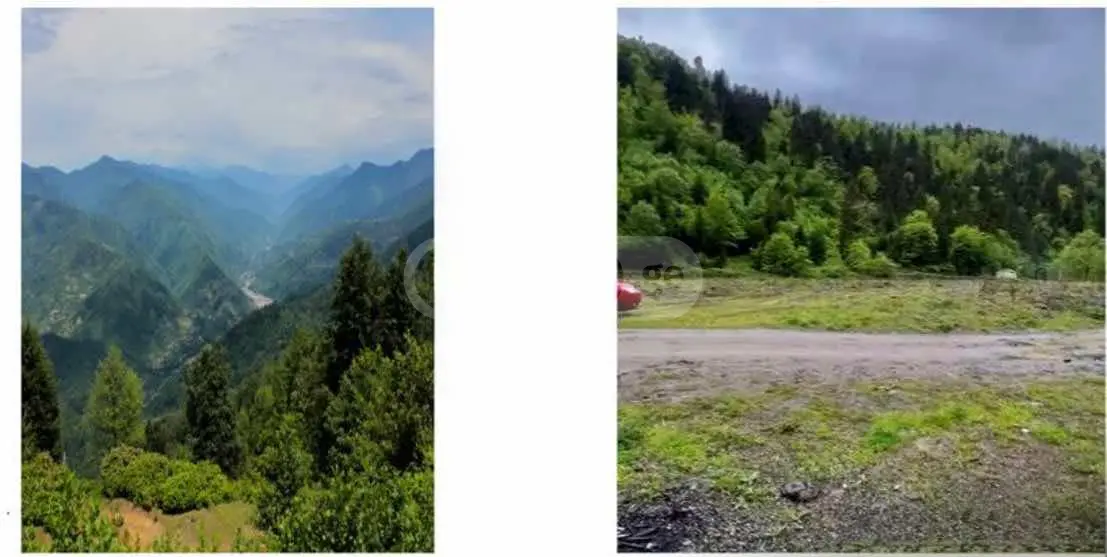 Non-Agricultural Plot For Sale In Likani, In Borjomi Municipality view 3