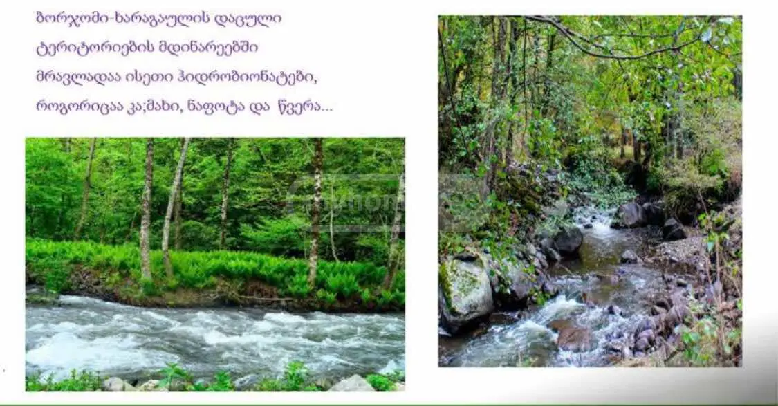 Non-Agricultural Plot For Sale In Likani, In Borjomi Municipality view 6