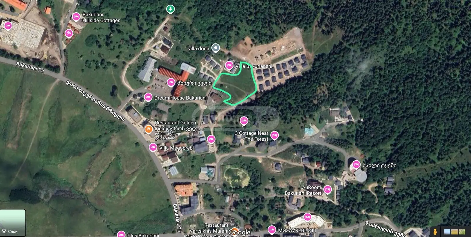 Non-Agricultural Plot For Sale In Bakuriani view 2