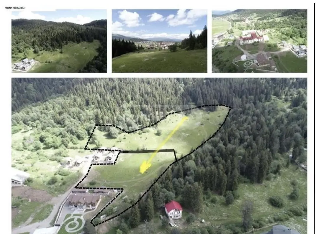 Non-Agricultural Plot For Sale In Bakuriani view 3
