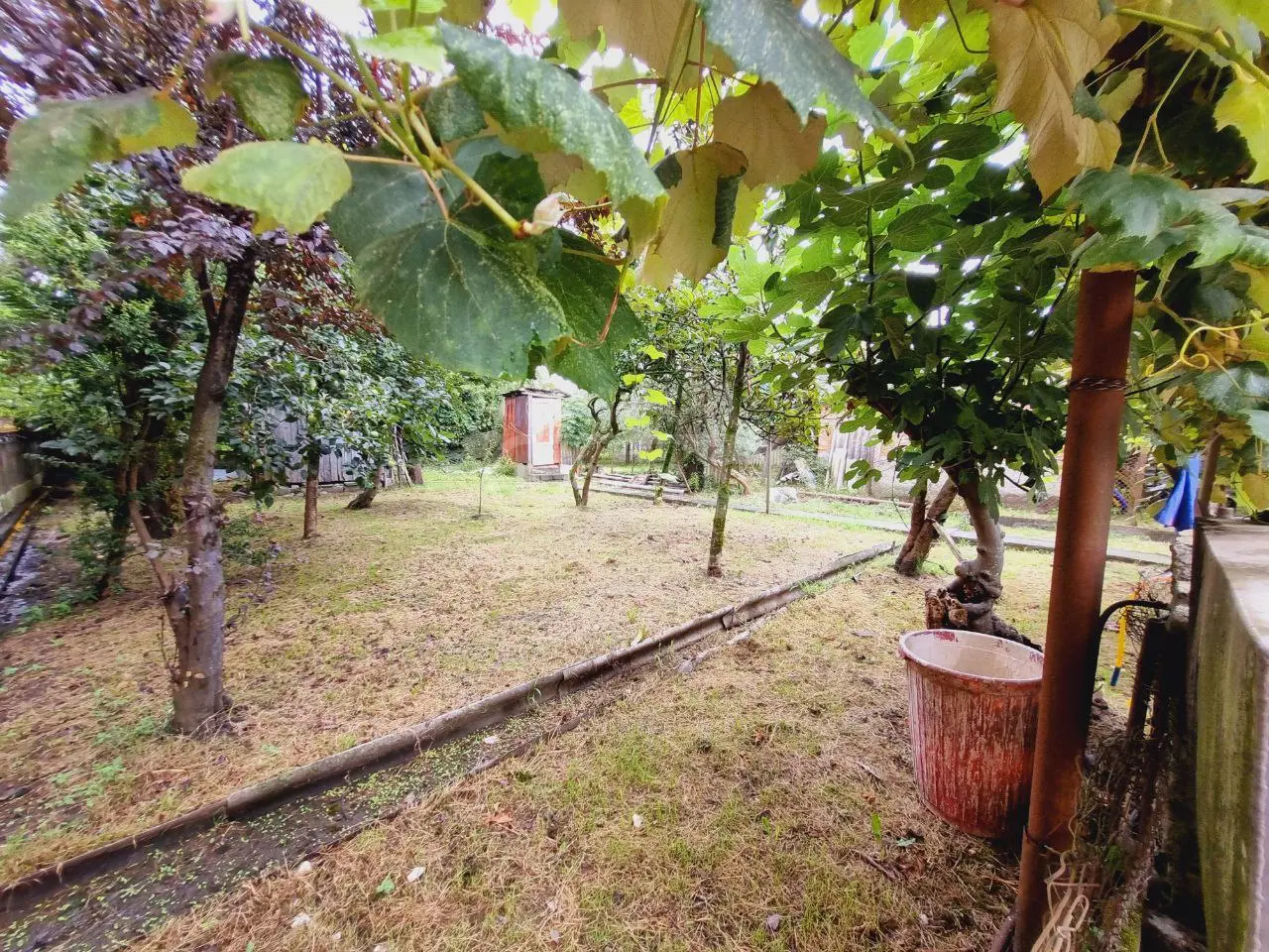 5 Room Private House For Sale view 11