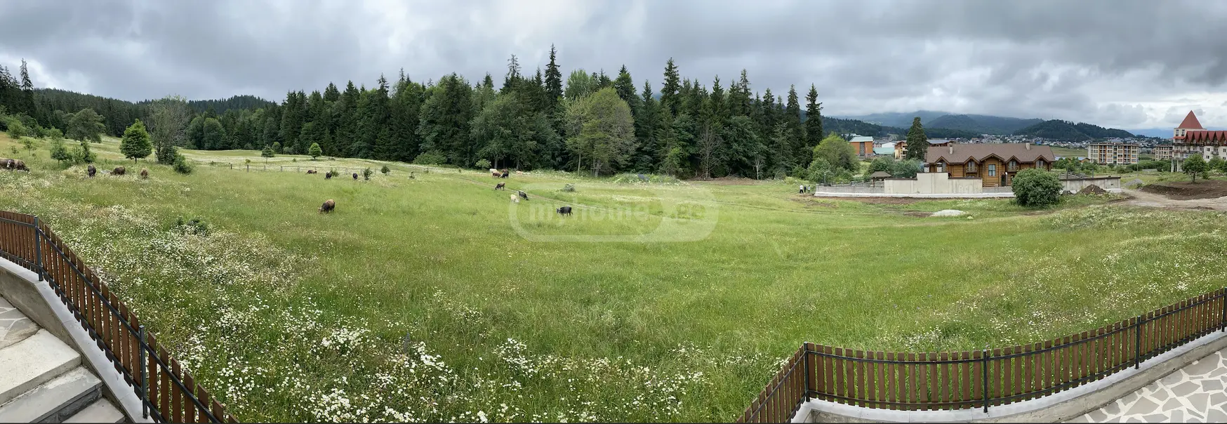 Non-Agricultural Plot For Sale In Bakuriani view 1
