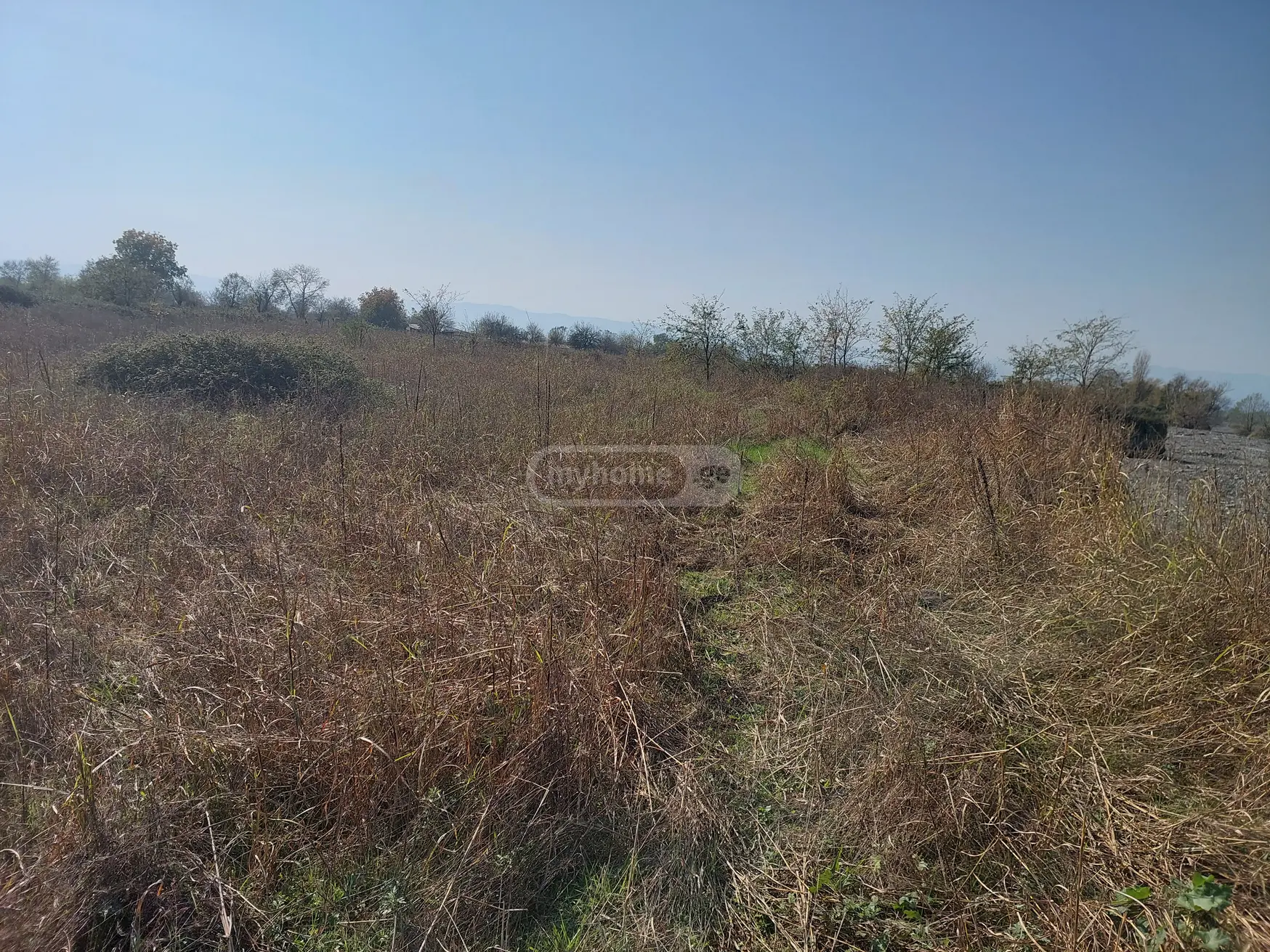 Agricultural Plot For Sale In Kvareli view 3