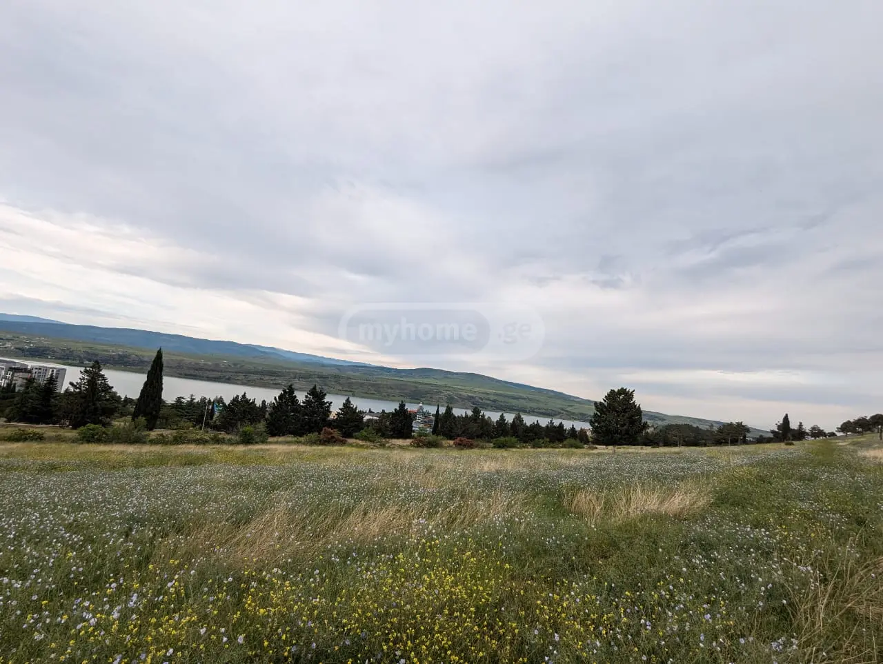 Agricultural Plot For Sale In Tbilisi Sea view 4