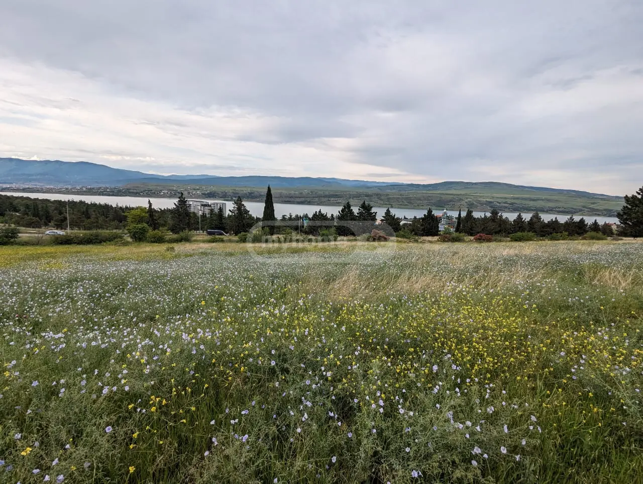 Agricultural Plot For Sale In Tbilisi Sea view 3