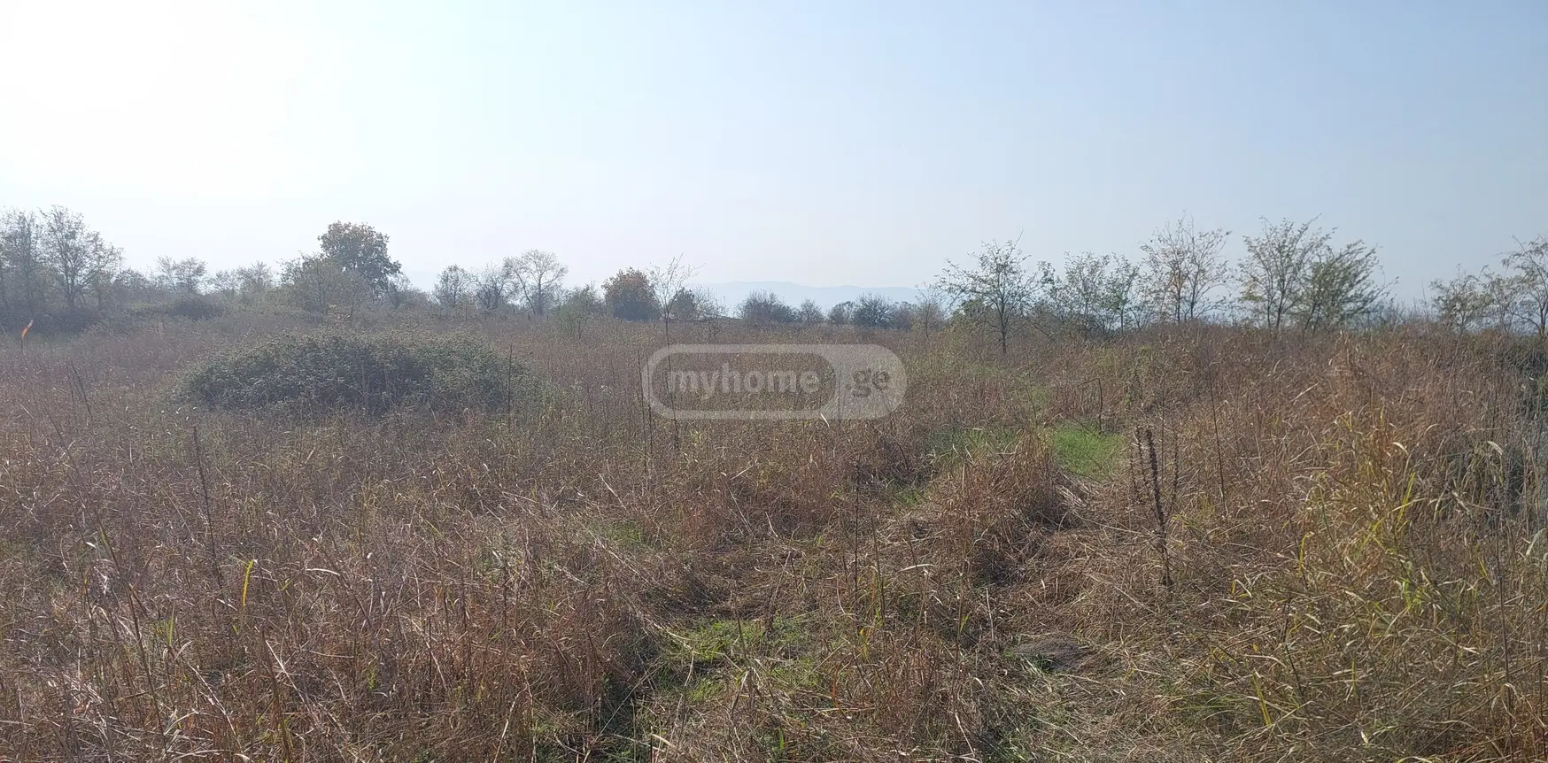 Agricultural Plot For Sale In Kvareli view 4