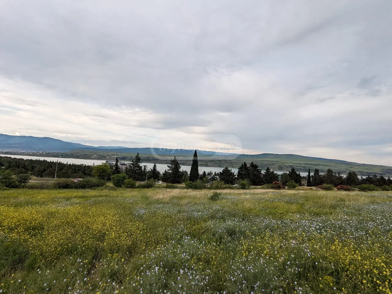 Agricultural Plot For Sale In Tbilisi Sea view 2