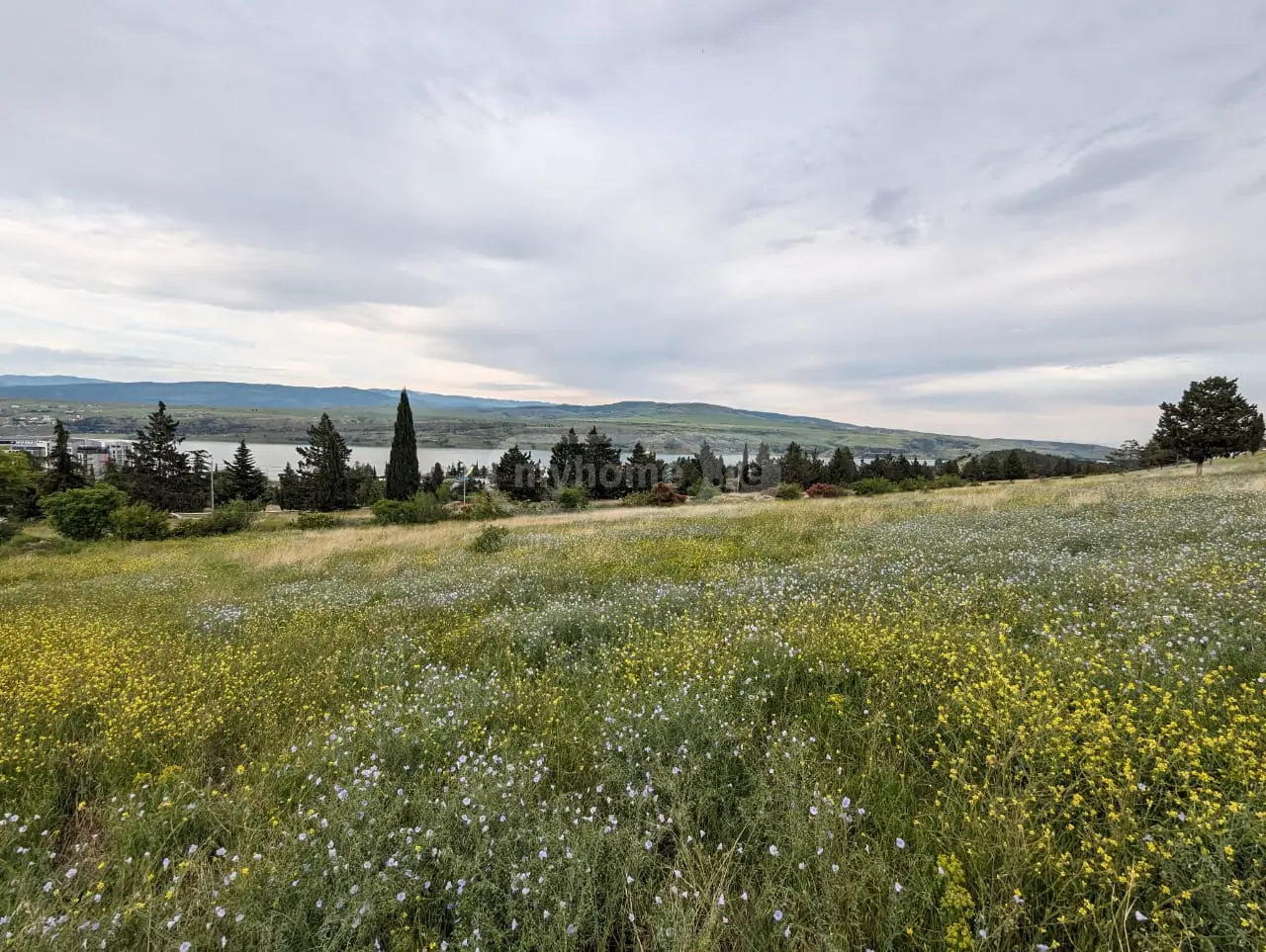 Agricultural Plot For Sale In Tbilisi Sea view 5