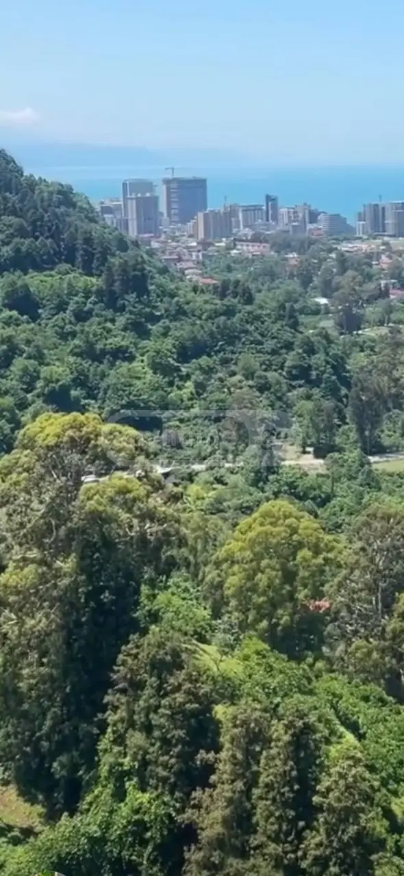 Non-Agricultural Plot For Sale In Chaqvi, In Kobuleti Municipality view 14