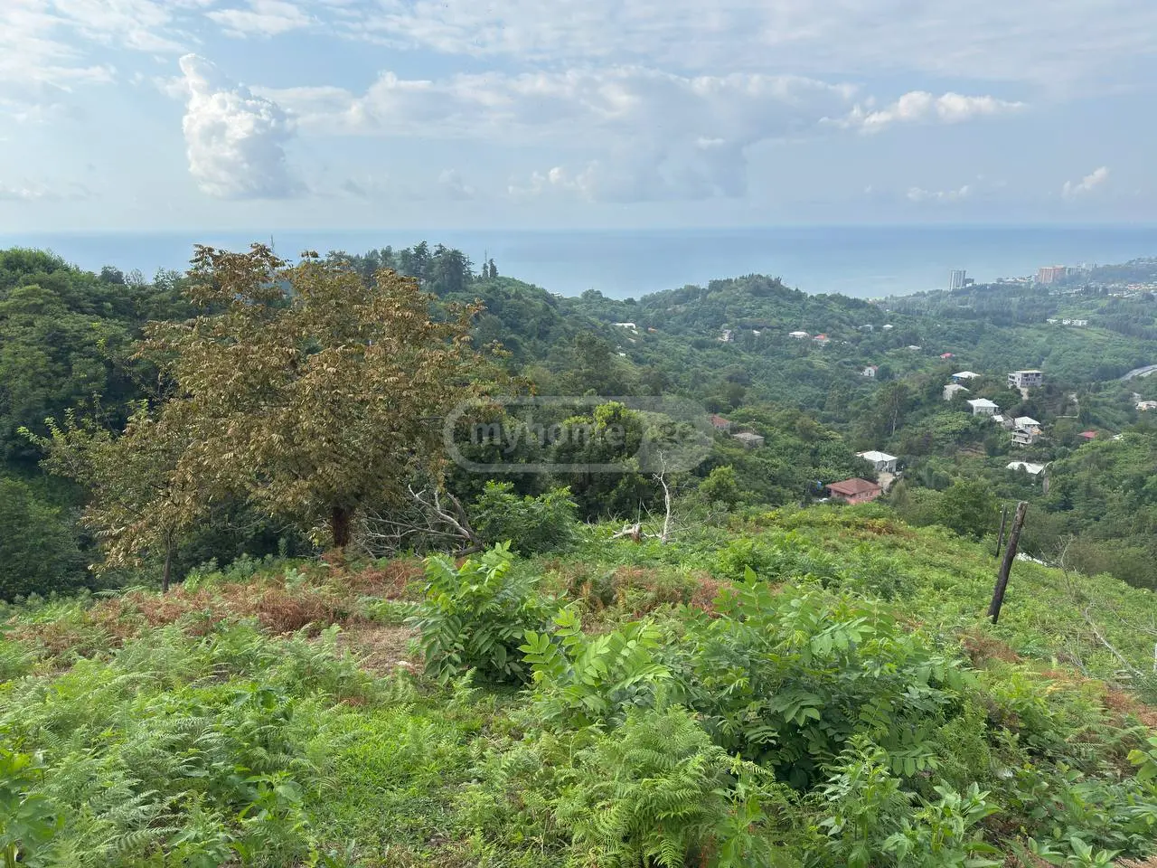 Non-Agricultural Plot For Sale In Makhinjauri, In Batumi view 1