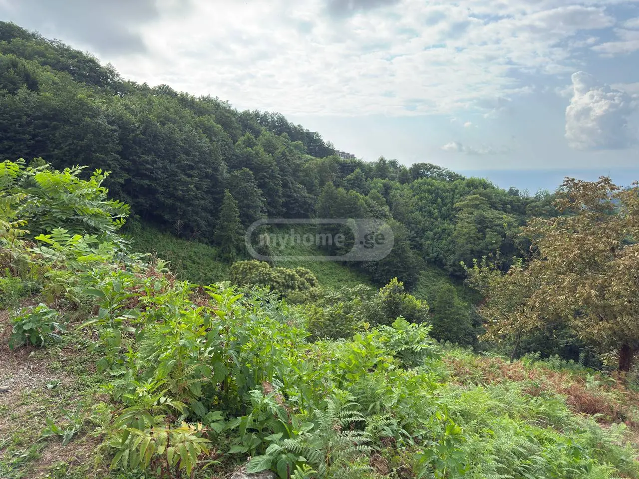 Non-Agricultural Plot For Sale In Makhinjauri, In Batumi view 4