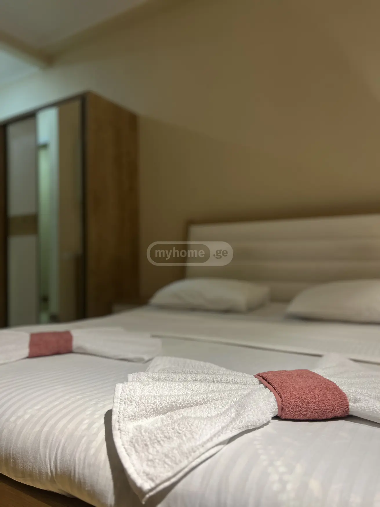 1 Room Apartment Daily Rent Mepetubani, In Qutaisi view 10