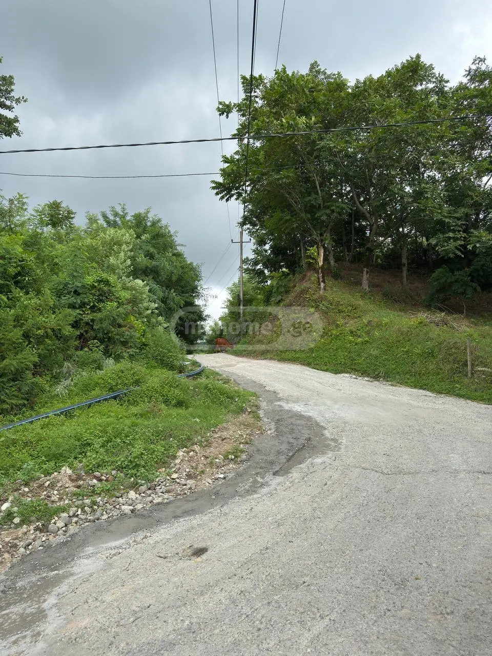 Non-Agricultural Plot For Sale In Makhinjauri, In Batumi view 3
